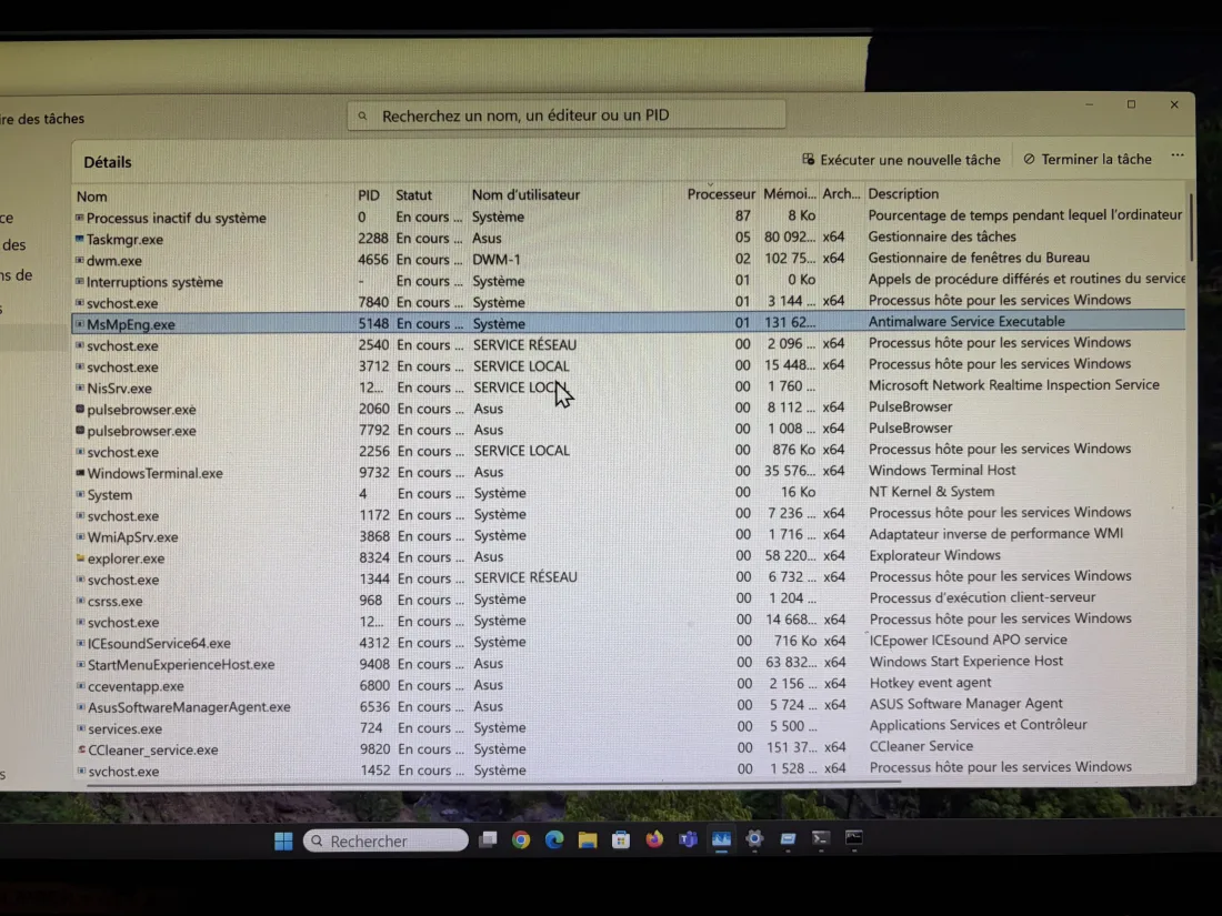 Gestionnaire des tâches Windows avec pulsebrowser.exe en cours d'exécution